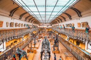 恐竜をテーマにした子供向けアニメのおすすめ作品は？