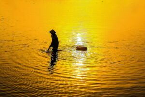 アンパンマンの配信はどこで楽しめる？