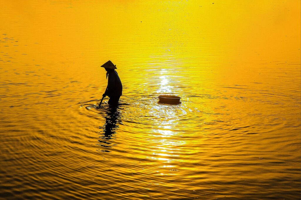 プリキュアはどこで見れる？