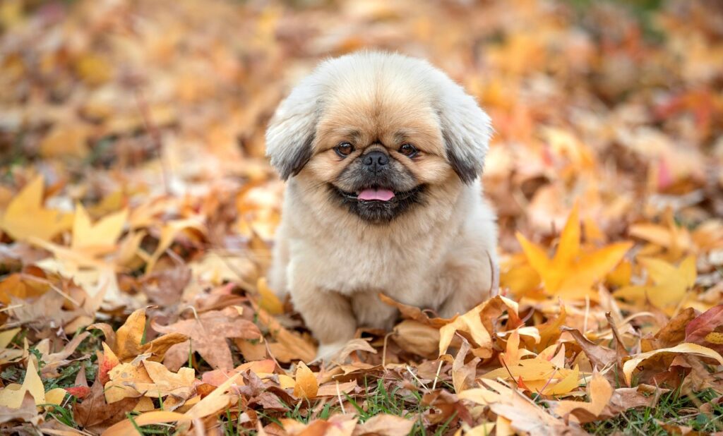 ロボットアニメは子供向けにどのような魅力があるのか？