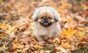 鬼滅の刃は何歳以上から楽しめる作品なのか？