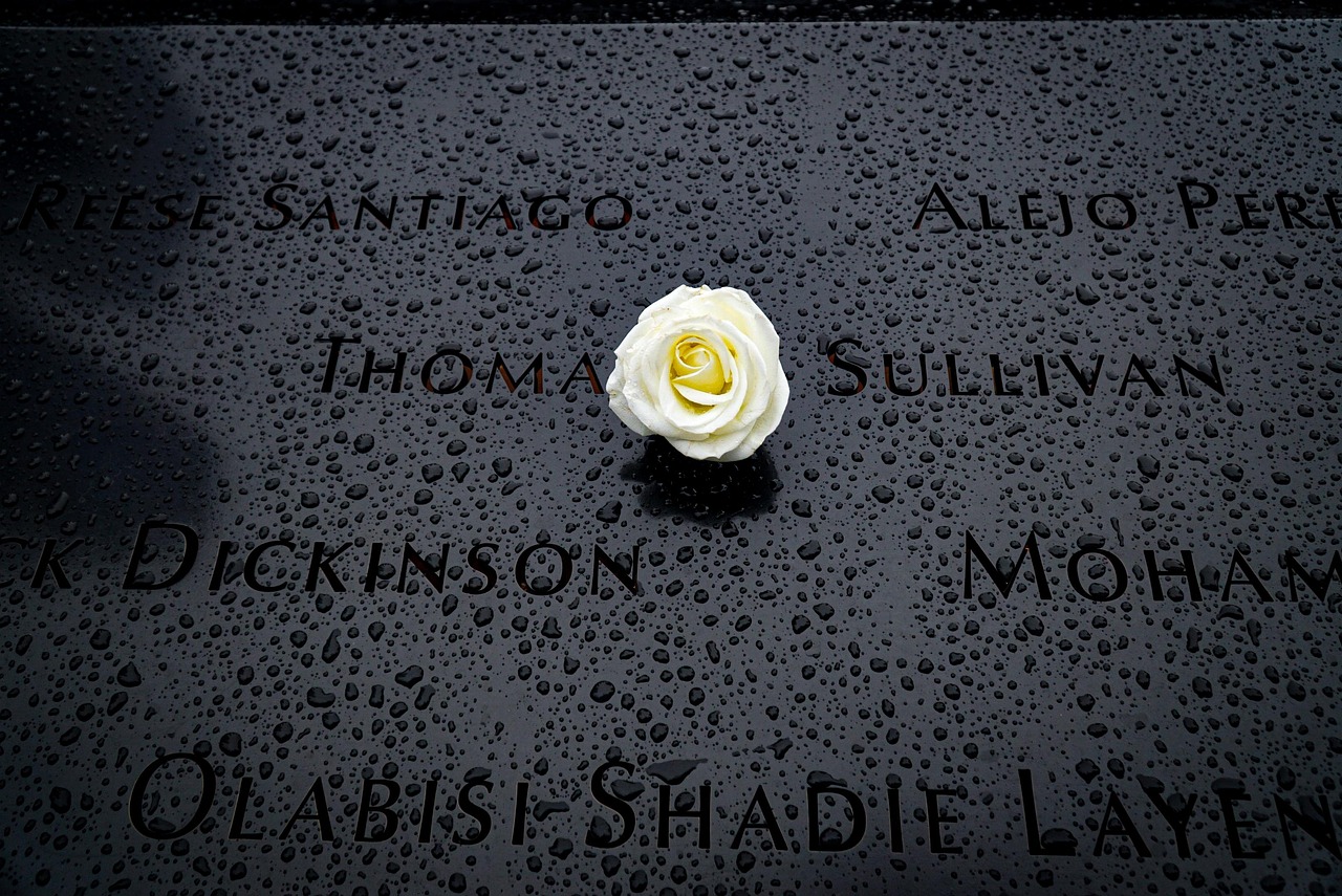 11歳男の子におすすめのアニメはAmazonプライムでどれ？