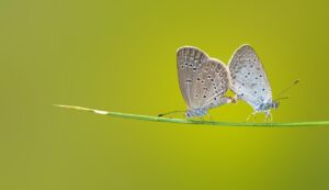 ペアレンタルコントロールがあるVODの比較はどれが最適？