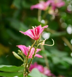 習い事後にちょい見せしたいおすすめのアニメは？