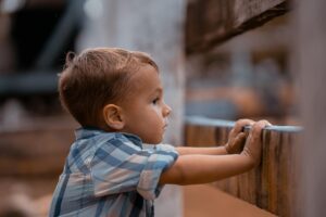 字幕付きで見せやすい子供アニメのサブスクはどれがおすすめ？